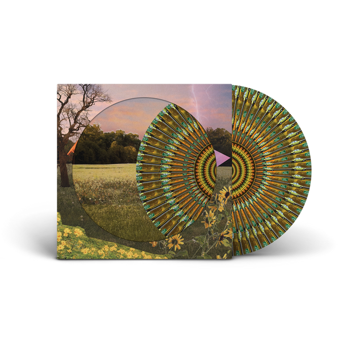 Three Tinted Windows Vinyl