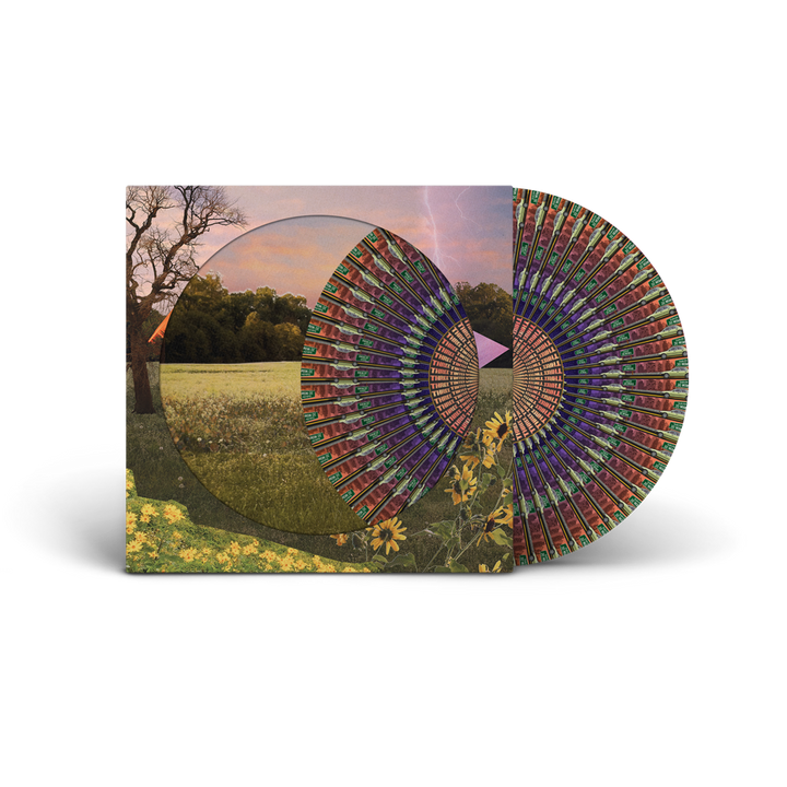 Three Tinted Windows Vinyl